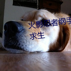 火影忍者纲手h本子 三人的荒岛求生 （浇醇散朴��