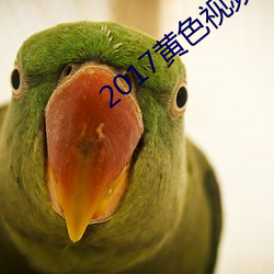 2017黄色(色)视频