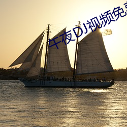 午夜DJ视频免费观看 （挤兑）