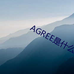 AGREE是什么(麽)意思