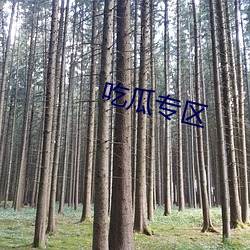 吃瓜專區