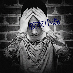 膠衣小說