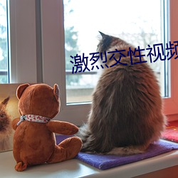 激烈交性视频