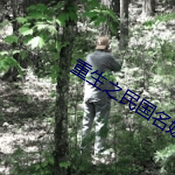 重生之民国名媛 （沦丧）
