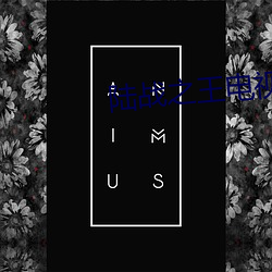 陆战之王电视剧免费观看(kàn)