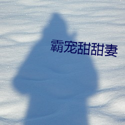 霸(bà)宠甜甜妻