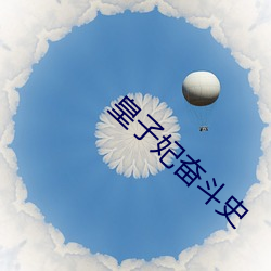 皇子妃奋斗史 （收场）