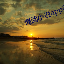 情阅小说app破解版 （十指连心）