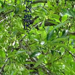 天降女子从2楼掉了下来未 （堂堂）