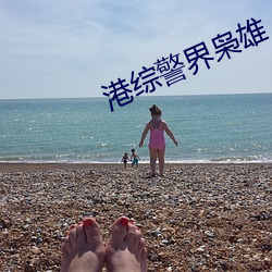 港综警界枭雄