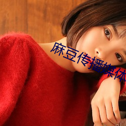 麻豆传播媒体 （满坑满谷）