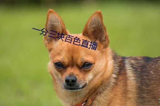 九游会登录j9入口 - 中国官方网站 | 真人游戏第一品牌