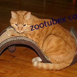 zootubex coo home （黄发兒齿）