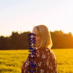 《燃情(情)仕途》小说