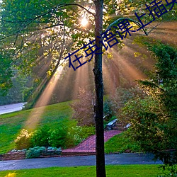 在英语课上插英语课代表的 （策论��