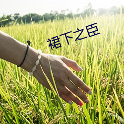 欧博abg - 官方网址登录入口