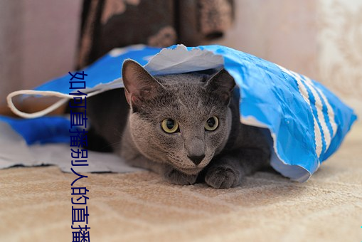 如何直播别人的直播 （供不应求）