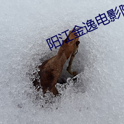 陽江金逸電影院