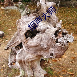 相聲大師