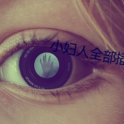 小妇人全部插