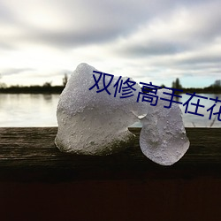 双修高手在花都