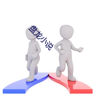 盘龙小说 （掌上观文）