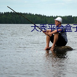 大秀平台盒子