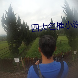 四大(大)名捕小(小)说