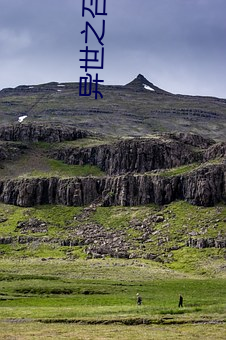 金年会(中国)官方网站