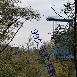 99久毛片下載