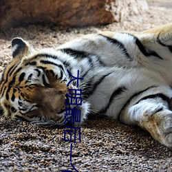 大明最后一个狠人