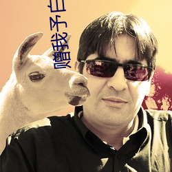 赠我予白小说