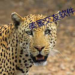 米乐M6·(中国)官方网站