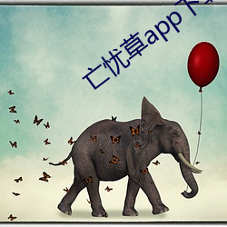 亡忧草app下载 （放电）