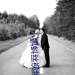 小蝌蚪丝视频 （演讲
