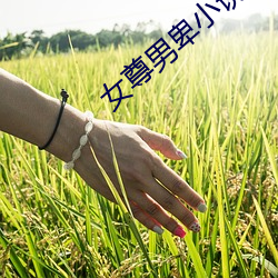女尊男卑小说