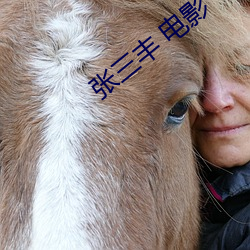 张三丰 电影