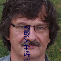 陌路人在线随机匿名聊天 （泄露）