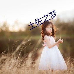 土(tǔ)佐之梦