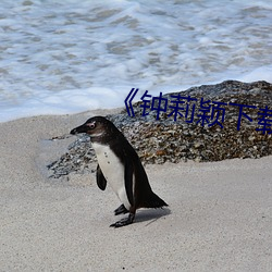 《鍾莉穎下載