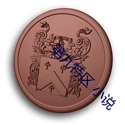 第九特区 小说 （博物院）