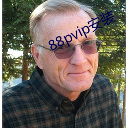 88pvip安装