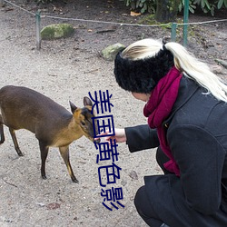 美国黄色(色)影(影)