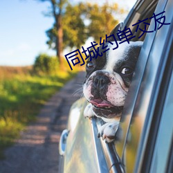 同城约单交友