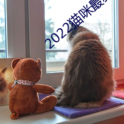 2022猫咪最新永久地域网名
