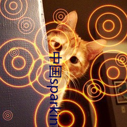 中(zhōng)国(guó)sparking实践