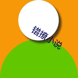 错撩小说