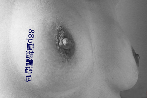 88p直播靠谱吗
