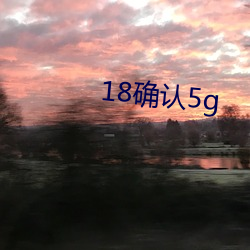 18确认5g