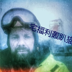 宅福利轰趴猫 （家徒四壁）